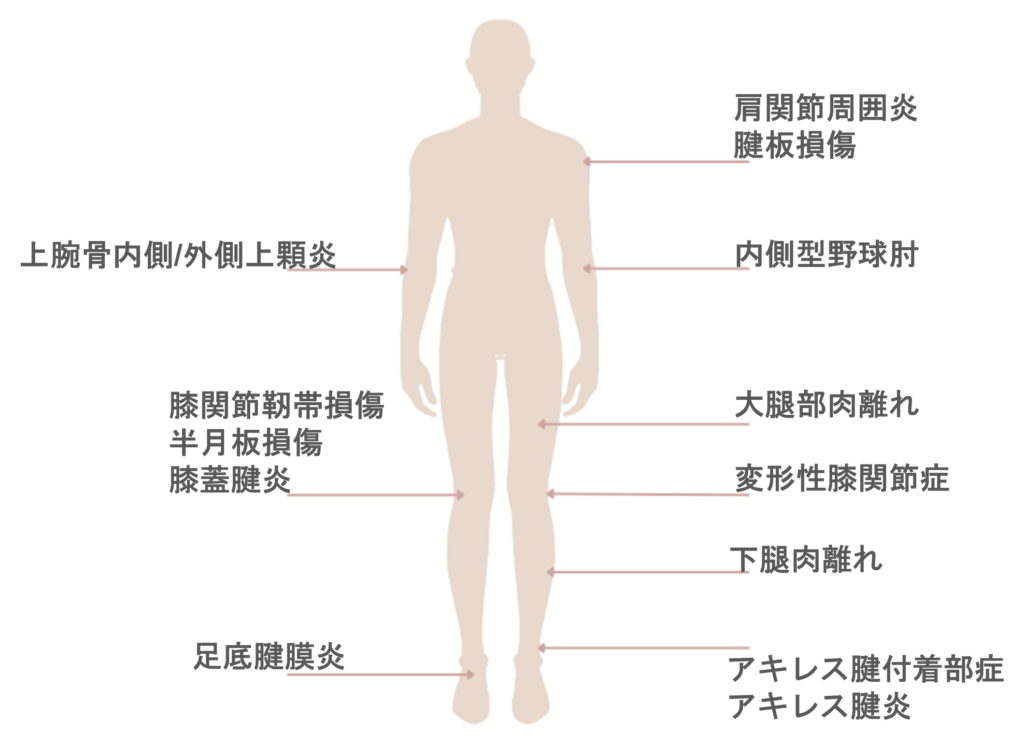 身体の各部位の様々疾患に応用されています